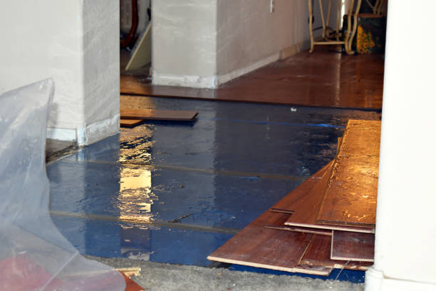 Professional Flood Damage Repair technician working in Humboldt, KS